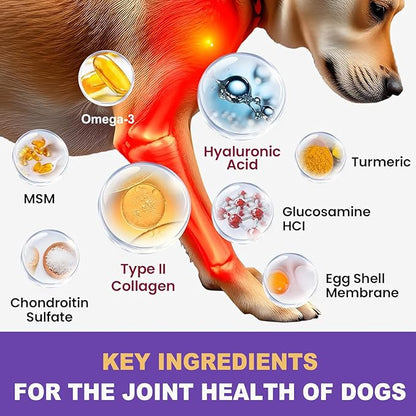 MARIMER Hip & Joint Chews for Dogs – Glucosamine, MSM, Chondroitin, Turmeric & Omega-3 – Mobility Chews for Dogs with Green Lipped Mussel & Eggshell Membrane – Chicken Flavor – 100 Soft Chews