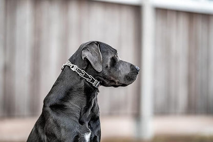 Herm Sprenger Dog Training Prong Collar with Quick Release Cliclock Buckle and Swivel Ring | Adjustable Length Stainless Steel Collar Made in Germany for Large Dogs up to 20" Neck (3.2mm Prongs)