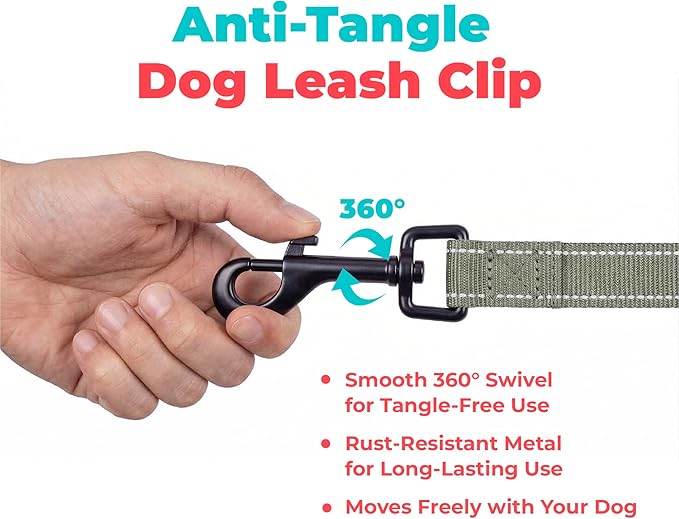 Best Pet Supplies Voyager Reflective Dog Leash or Collar with Neoprene Handle, for Small, Medium, and Large Breed Puppies, Cute and Heavy Duty for Walking, Running and Training - Moss Green (Leash), S