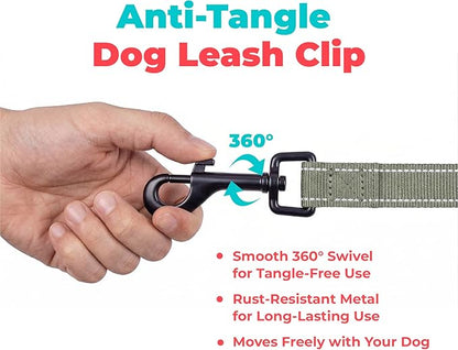 Best Pet Supplies Voyager Reflective Dog Leash or Collar with Neoprene Handle, for Small, Medium, and Large Breed Puppies, Cute and Heavy Duty for Walking, Running and Training - Moss Green (Leash), S