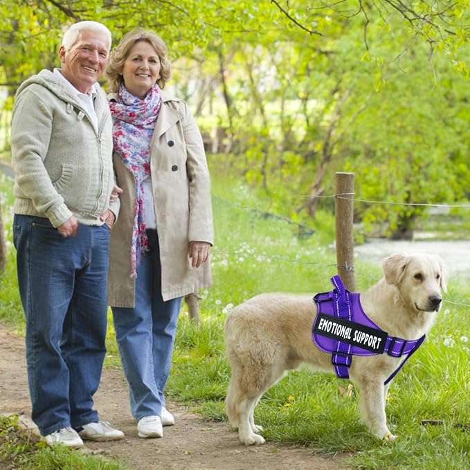 voopet Service Dog Harness, Emotional Support Pet Vest Harness, Reflective Breathable and Adjustable No-Pull ESA Dog Harness for Small Medium Large Dogs (with 4 PCS Removeable Tags)