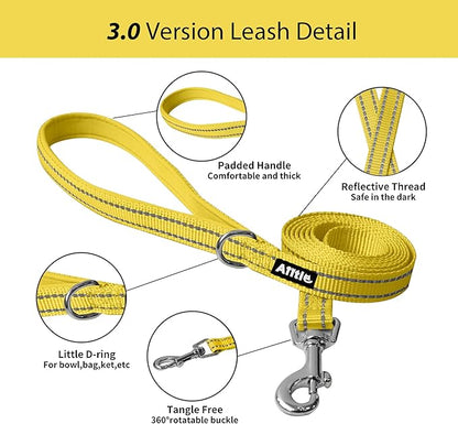 AIITLE Comfortable Dog Harness and Leash Set for Walking - Spring Step in Vest Harness,Reflective Bands, Adjustable No Pull Puppy Essentials, for Small Dogs and House Cats Yellow XS
