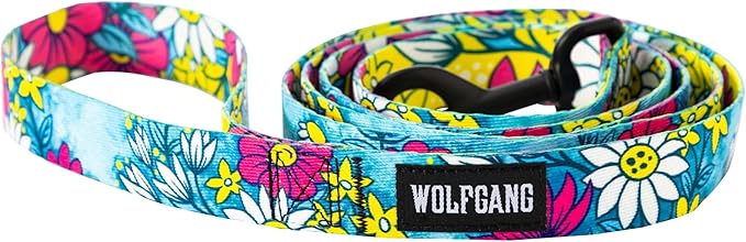 Wolfgang Heavy Duty Dog Leash, Pull-Tested for Walking & Training, LazyDaisy Print, Large