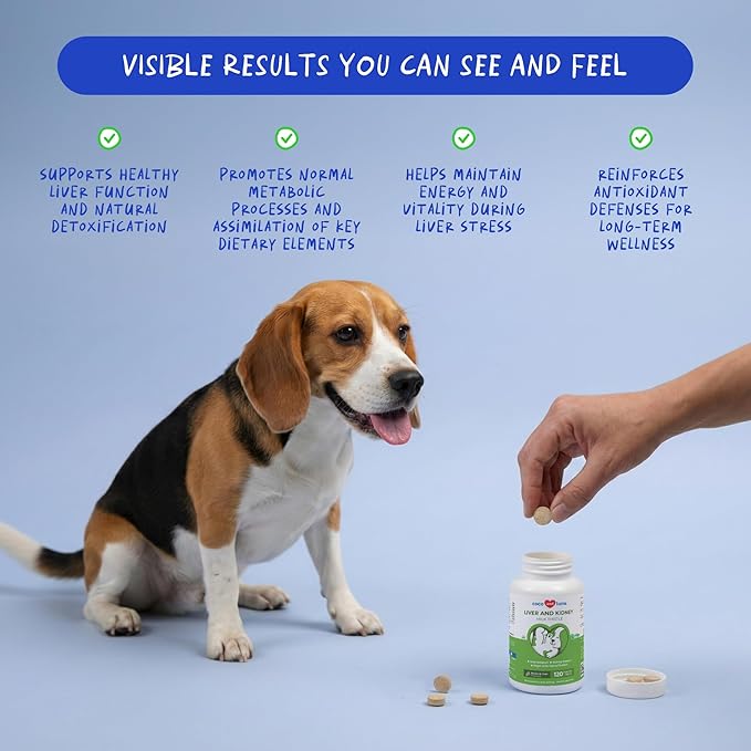 Milk Thistle for Dogs - 120 Chewable Tablets - Silymarin - Liver and Kidney Support with EPA & DHA - Detox - Liver Supplement for Dogs with Choline and L-Arginine (Milk Thistle Tablet)
