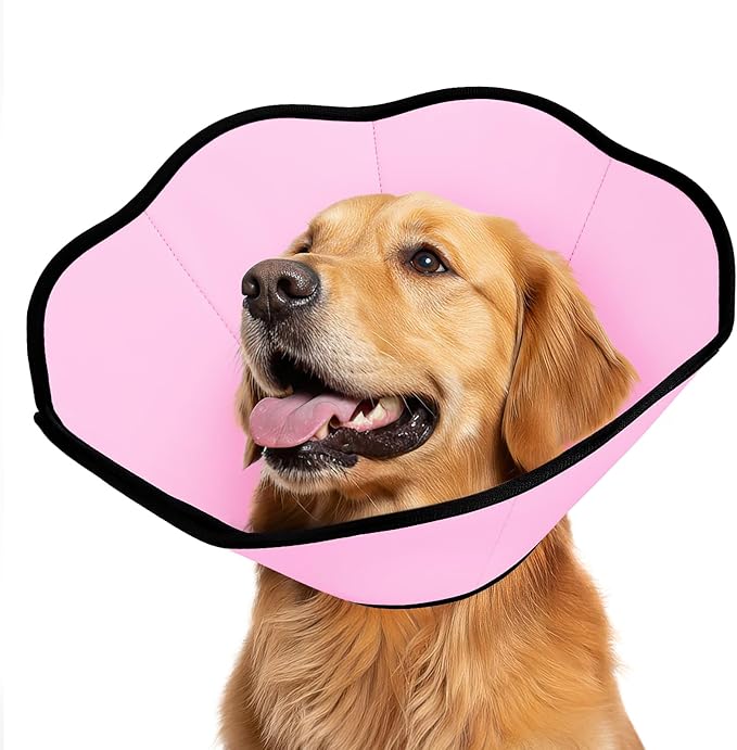 MIDOG Dog Cone Collar After Surgery, Soft Dog Cone Alternative to Stop Licking,Adjustable Elizabethan Recovery Cones for Small to Large Sized Dogs