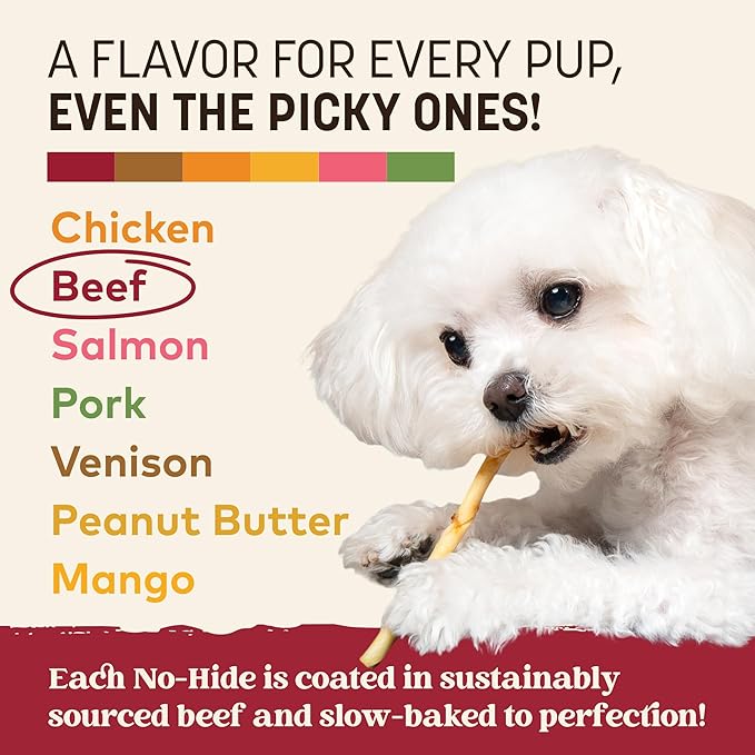 Earth Animal No Hide Stix - Long Lasting Rawhide Free Small Dog Chews Sticks, Beef - 10 Count