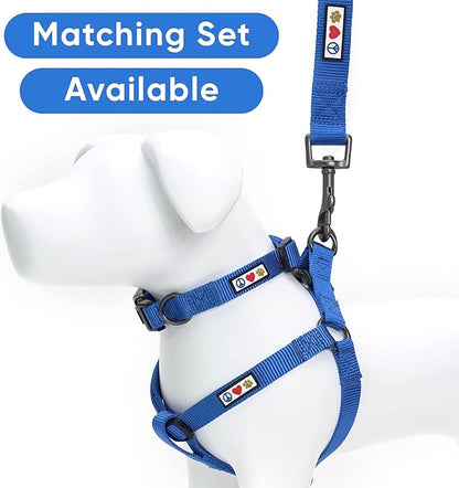 Pawtitas Personalized 6 ft Blue Dog Leash XS/S Custom Name and Phone Embroidery Strong Nylon Leash for Small Breeds