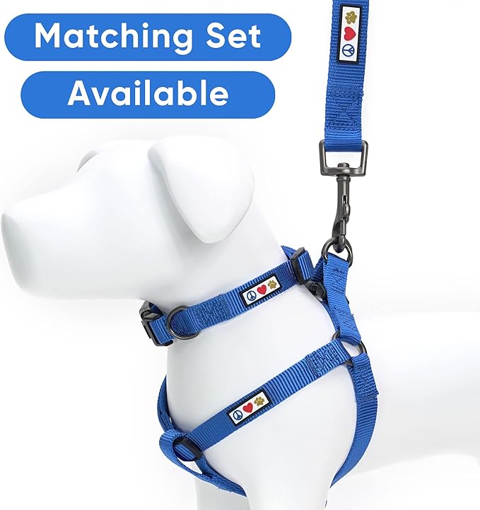 Pawtitas Personalized 6 ft Blue Dog Leash XXS/Cat Custom Name and Phone Embroidery Strong Nylon Leash for Small Breeds
