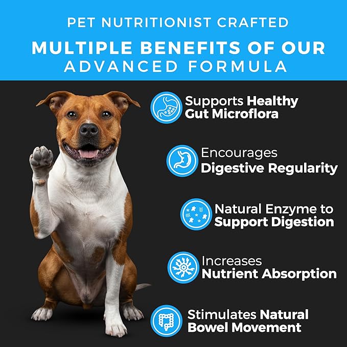 Pet Chef Probiotic Blend for Dogs with Prebiotics & Enzymes 140 Naturally Healthy Soft Chews for Digestion Gut & Skin Health Puppy-Friendly Improves Poop Stops IBS Low Calorie No Fillers