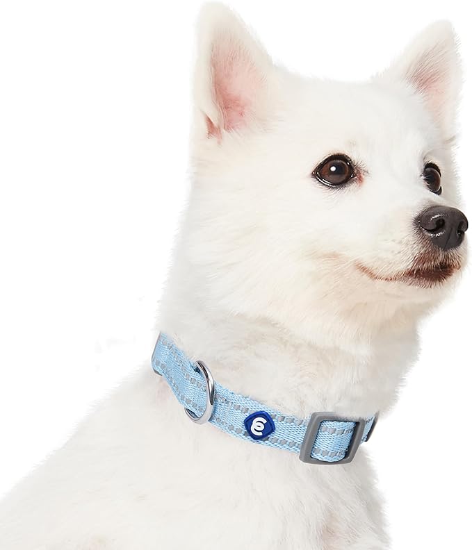 Blueberry Pet Essentials Reflective Dog Collar & Leash Set, Adjustable for Large Dogs | Safe Walking Gear for Pet Parents, Puppy Training & Daily Use LargeDogs, Baby Blue