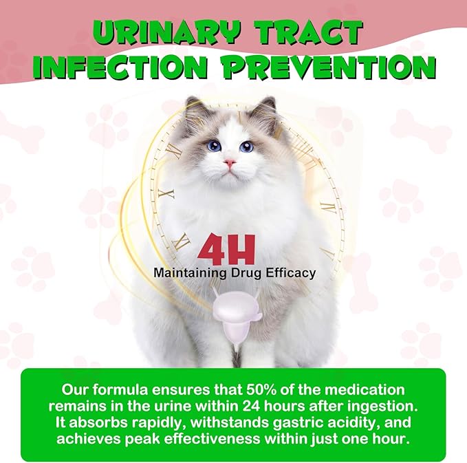 Feline Urinary Tract Health 2Pack, Cat UTI Remedy, Natural Herbal Supplement 4 fl oz, Supporting Regular Care for Urinary Health
