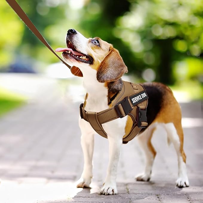 voopet Emotional Support Dog Harness, Professional Service Dog Vest Harness for Small Medium Large Dogs, Reflective Breathable and Adjustable No Pull/Choke ESA Essential Harness