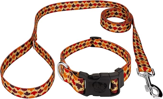 Country Brook Petz - Nature Walk Everyday Dog Collar and Leash Limited Edition - Awesome Autumn Collection Featuring Designs You Will Fall for (1 Inch, Extra Large)
