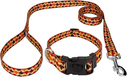 Country Brook Petz - Nature Walk Everyday Dog Collar and Leash Limited Edition - Awesome Autumn Collection Featuring Designs You Will Fall for (1 Inch, Large)