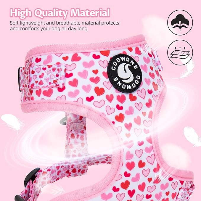 Dog Harness and Leash Set, Adjustable Dog Harness, Dog Leash, No Pull No Choke Puppy Harnesses for Walking Training for Small, Medium Pet (Little Love, L(Chest 19.6-28", Neck 15.7-21.1"))