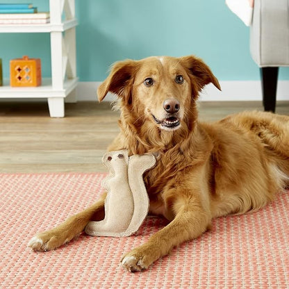 SPOT Dura-Fused Leather Squirrel Dog Toy – Real Leather & Jute Fabric, Double-Stitched & Durable, Soft Stuffed Squeaky Interactive Chew Toy for Moderate Chewers, Small & Medium Dogs, 8in