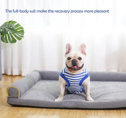 Dog Recovery Suit Post Surgery Shirt for Puppy,Small Female Male Wound Protective Suit,Blue XS