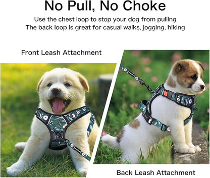 Petmolico No Pull Dog Harness Set with Leash Attachment Easy Control Handle Reflective Harness Vest Small Breed, Puppy Vest and Leash Set with Poop Bag Holder, Small - Green Rhododendron