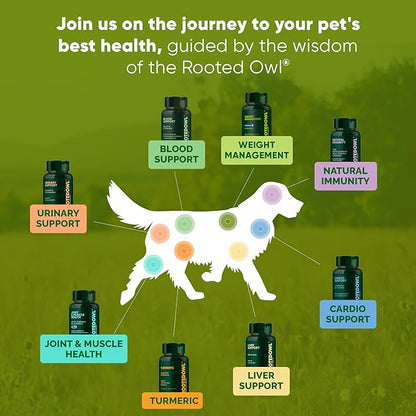 Rooted Owl Turmeric - Turmeric Supplement for Dogs and Cats - with Curcumin, Piperine and Vitamin C for Anti-Inflammatory Relief - 60/ct