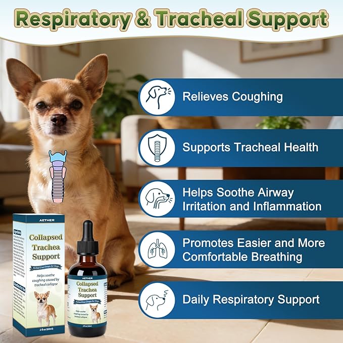 Collapsed Trachea Support for Dogs, Support Tracheal & Respiratory Health, Trachea Cough Elixir, Airway & Throat Comfort Drops for Small Breeds, Dogs Dry Hacking Cough Relief, Herbal Formula 2 fl oz