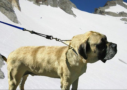 BUNGEE DOG LEASH EXTENSION – Patented Shock Absorber Attachment Protects You and Your Dogs – Works with ANY Leash & Collar or Harness – a MUST for Retractable Leashes – PICK SIZE/COLOR BELOW