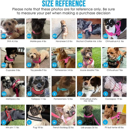 Lukovee No Pull Dog Harness and Leash Set, Soft Padded Small Dog Harness, Neck & Chest Adjustable Reflective Vest Puppy Harness with 4ft Lightweight Anti-Twist Dog Leash for Small Dogs (XS, Blue)