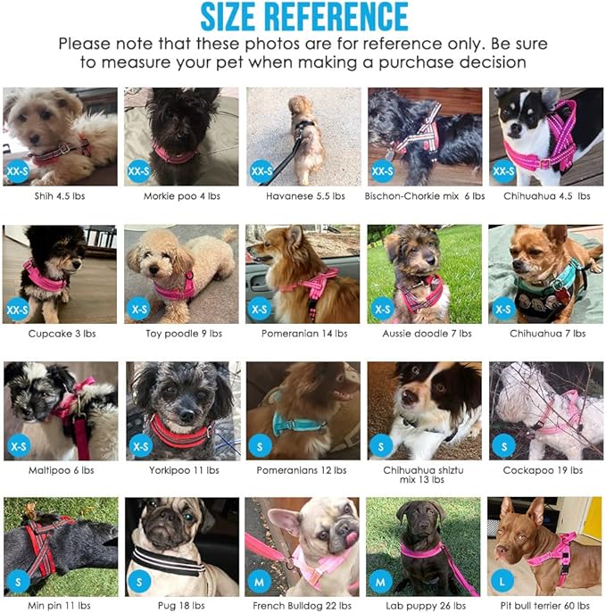 Lukovee No Pull Dog Harness and Leash Set, Soft Padded Small Dog Harness, Neck & Chest Adjustable Reflective Vest Puppy Harness with 4ft Lightweight Anti-Twist Dog Leash for Small Dogs (LBL, S)