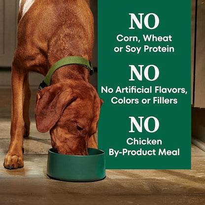 Nutro Natural Choice Adult Dry Dog Food, Salmon & Brown Rice Recipe, 4.5 lb. Bag