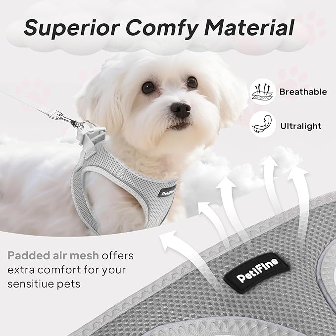 PetiFine Step in Small Dog Harness and Leash Set, Breathable All Weather Air Mesh Reflective Escape Proof, Step-in Velcro Vest Harnesses for Puppy(S, Grey)