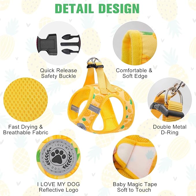 BEAUTYZOO Step in Dog Harness and Leash Set,Reflective Dog Harness No Pull No Choke Puppy Harness for Small Medium Large Dogs Cats,Soft Padded Mesh Vest Harnesses for Girl and Boy Pets, Pineapple XS