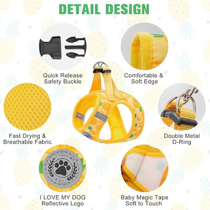 BEAUTYZOO Step in Dog Harness and Leash Set,Reflective Dog Harness No Pull No Choke Puppy Harness for Small Medium Large Dogs Cats,Soft Padded Mesh Vest Harnesses for Girl and Boy Pets, Pineapple XS