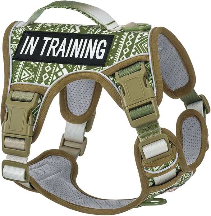 AUNZO No-Pull Dog Harness for Small Dog Breeds, Escapeproof Easy Walking Reflective Adjustable Lightweight Dog Vest with Breathable Oxford Material, Easy on Easy Off with Neck Buckle, Green Ethnic XS