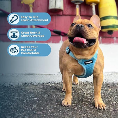 Best Pet Supplies Voyager Adjustable Step-in Flex Breathable Mesh Dog Harness for Small Medium Large Dogs Leash Set (Baby Blue), M