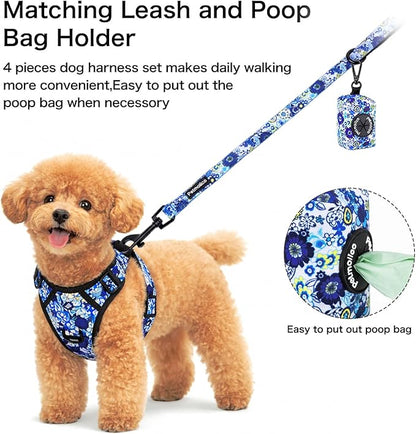 Petmolico No Pull Dog Harness Set with Leash Attachment Easy Control Handle Reflective Vest Small Breed, Puppy Vest and Leash Set with Poop Bag Holder, Small - Blue Daisy