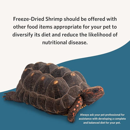 Fluker's Freeze Dried River Shrimp, Nutrient-Packed, Ideal for Lizards, Reptiles, Birds, Fish, Hedgehogs, 1 Oz