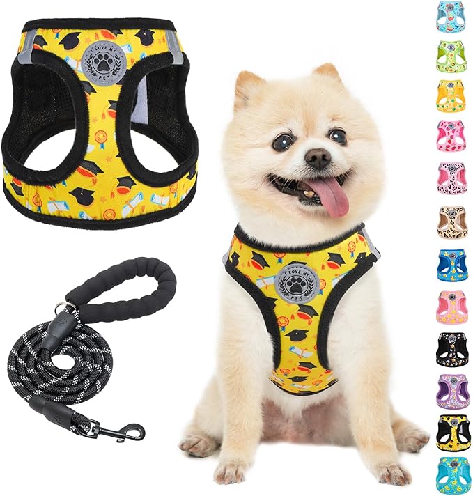 BEAUTYZOO Small Dog Harness and Leash Set,Step in No Choke No Pull Soft Mesh Dog Harnesses Reflective for Extra-Small/Small Medium Puppy Dogs and Cats,Yellow S