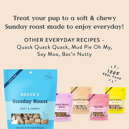 Bocce's Bakery Oven Baked Sunday Roast Treats for Dogs, Wheat-Free Everyday Dog Treats, Made with Real Ingredients, Baked in The USA, Natural Soft & Chewy Cookies, Chicken & Pumpkin Recipe, 6 oz