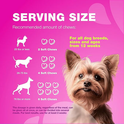 Dog UTI Treatment - Dog Cranberry Supplement for Bladder & Kidney Health, Urinary Tract, Incontinence Support - Cranberry Supplement for Dog Incontinence - Bladder Control Cranberry Chews