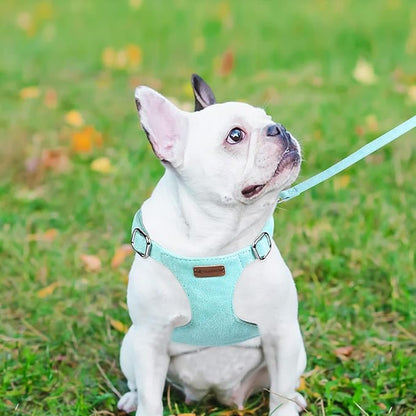 Dog Harness and Leash Set, XXS No Pull Adjustable Puppy Harness with Multifunction Pink Dog Leash and Dog Collar, Soft No Choke Escape Proof Pet Harness Vest for Small Dogs and Cats (Mint Green, S)