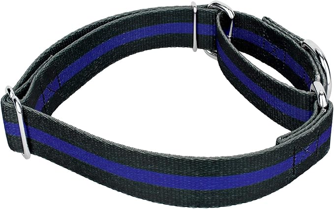 Country Brook Petz - Thin Blue Line Martingale Dog Collar and Leash - Camouflage Collection Featuring Rugged Designs (5/8 Inch, Small)