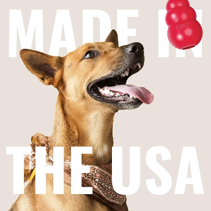 KONG Ring - Natural Rubber Ring Toy for Healthy Chewing Habits - Chew Toy Supports Dog Dental Health - Dog Toy Supports Instincts During Playtime - for Medium/Large Dogs