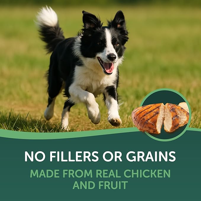 Healthfuls Chicken Wrapped Fruit Dog Treats, 16oz