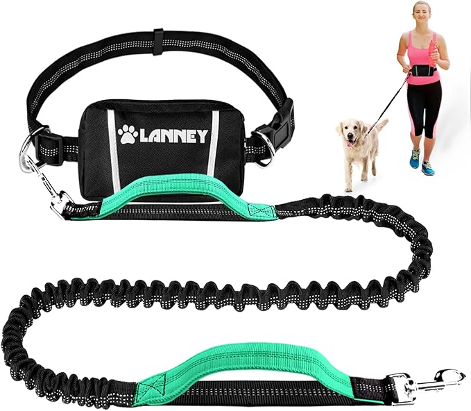 LANNEY Hands Free Dog Leash, Waist Running Leash with Zipper, Walking Pouch for Medium Large Dogs, Dual Handle and Retractable Bungee for Training Jogging Hiking(25-120 lbs, Teal)