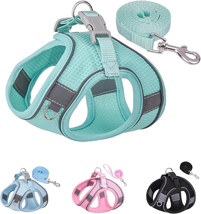 Solmoony Dog Harness for Small Medium Dogs No Pull, Puppy Harness and Leash Set, Puppy Harness, Step in Harness for Small Dogs,mesh Dog Harness. (Green, L)