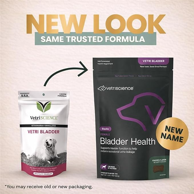 VetriScience Bladder Health Soft Chews for Dogs Bladder Control Supplement & Urinary Support - Incontinence Support Formula with Soy Protein & Red Clover, Chicken Flavor, 60 Count