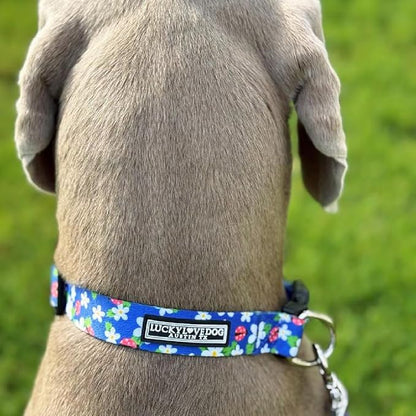 Lucky Love Dog - Adjustable Dog Collar with Easy Click Buckle for Large Ones, Durable, & Comfortable for Male & Female Dogs, Pet Collar for Puppies & Adult Dogs - Lilian, Large