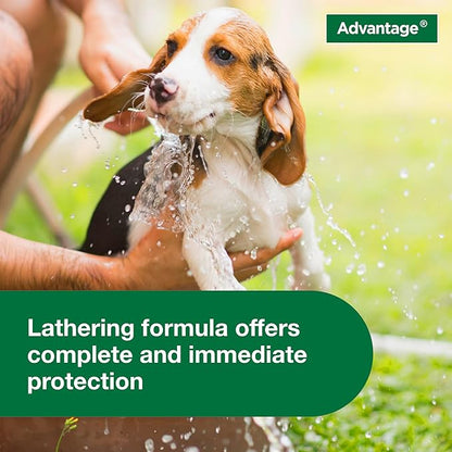 Advantage Dog Flea & Tick Shampoo for Puppies & Adult Dogs | Kills Fleas & Ticks | 24 oz.