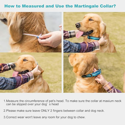 Martingale Dog Collar No Pull Pet Collar Heavy Duty Dog Martingale Collars Silky with Unique Geometric Pattern for Medium and Large Dogs (M, Turquoise)