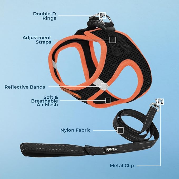 Best Pet Supplies Voyager Step-in Air All Weather Mesh Harness and Reflective Dog 5ft Leash Combo with Neoprene Handle, for Small, Medium and Large Breed Puppies - Set (Black/Orange Trim), Large