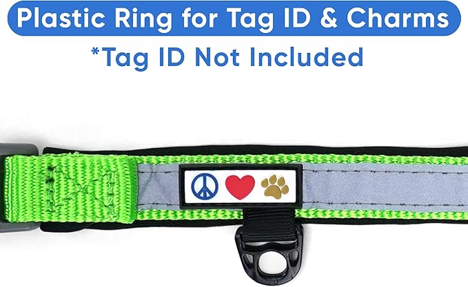 Pawtitas Lumberjack Padded Martingale Collar for Dogs | Soft Neoprene Dog Collar for Your pet's Comfort Made with Reflective Band for Maximum Visibility | Fits Small and Large Pets - XS Green